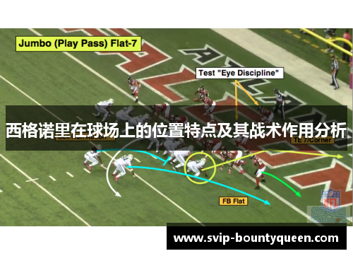 西格诺里在球场上的位置特点及其战术作用分析 西格诺里在球场上的位置特点及其战术作用分析