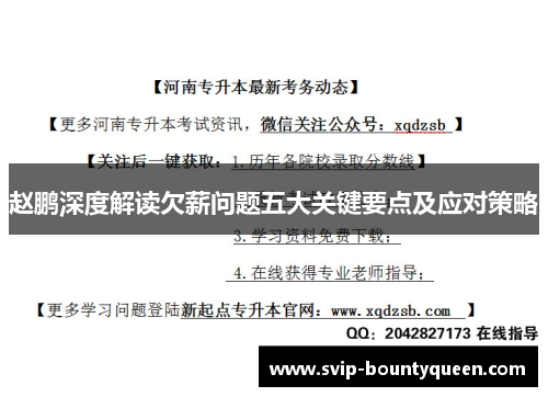 赵鹏深度解读欠薪问题五大关键要点及应对策略