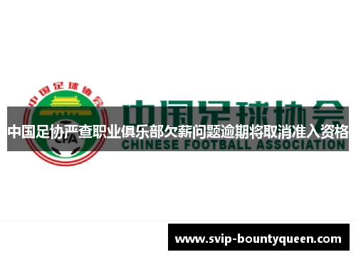 中国足协严查职业俱乐部欠薪问题逾期将取消准入资格 中国足协严查职业俱乐部欠薪问题逾期将取消准入资格